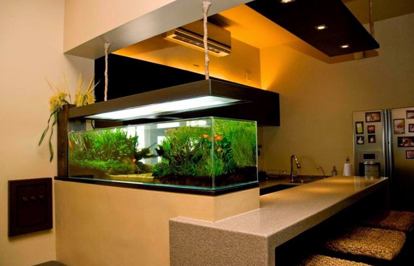 Desain Aquarium Untuk Rumah Minimalis
